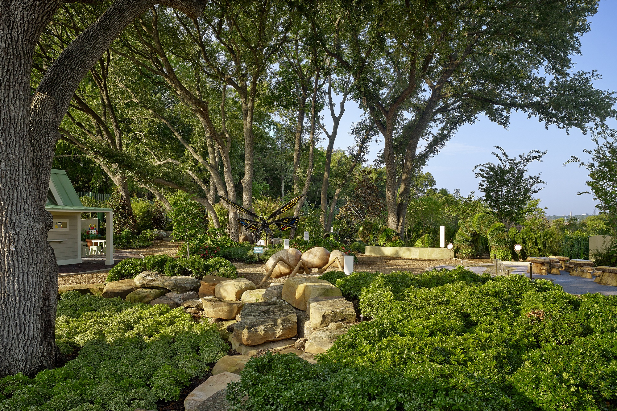 Dallas Arboretum 9