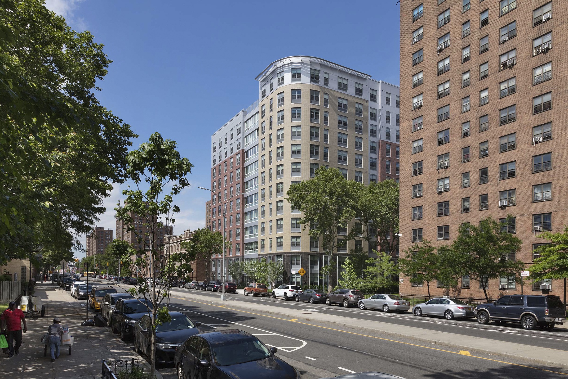 VanniArchive_CAMBAVanDyke_HERO