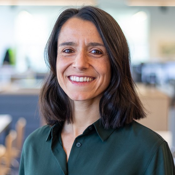 Marandino Tara 560 New