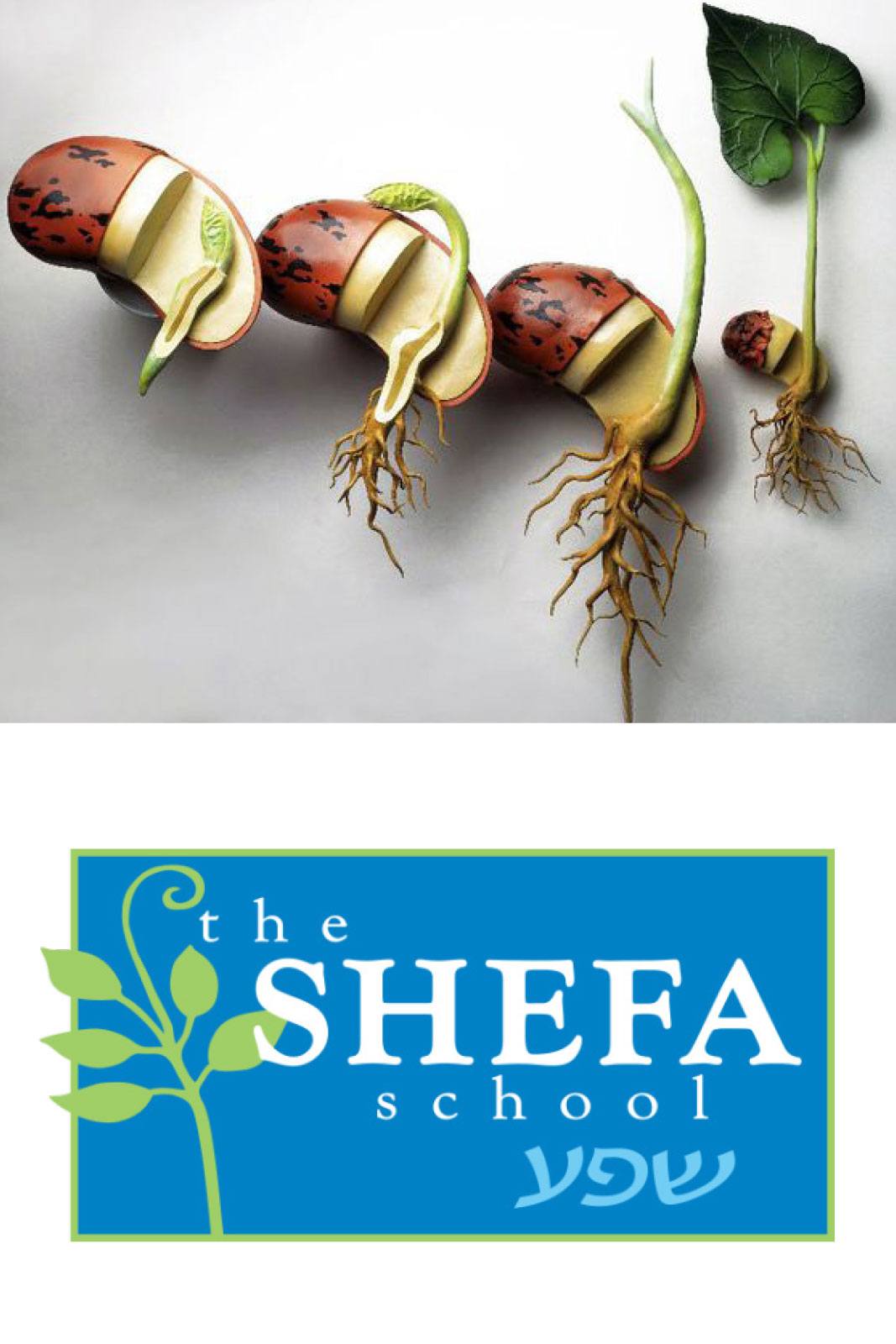 Shefa School