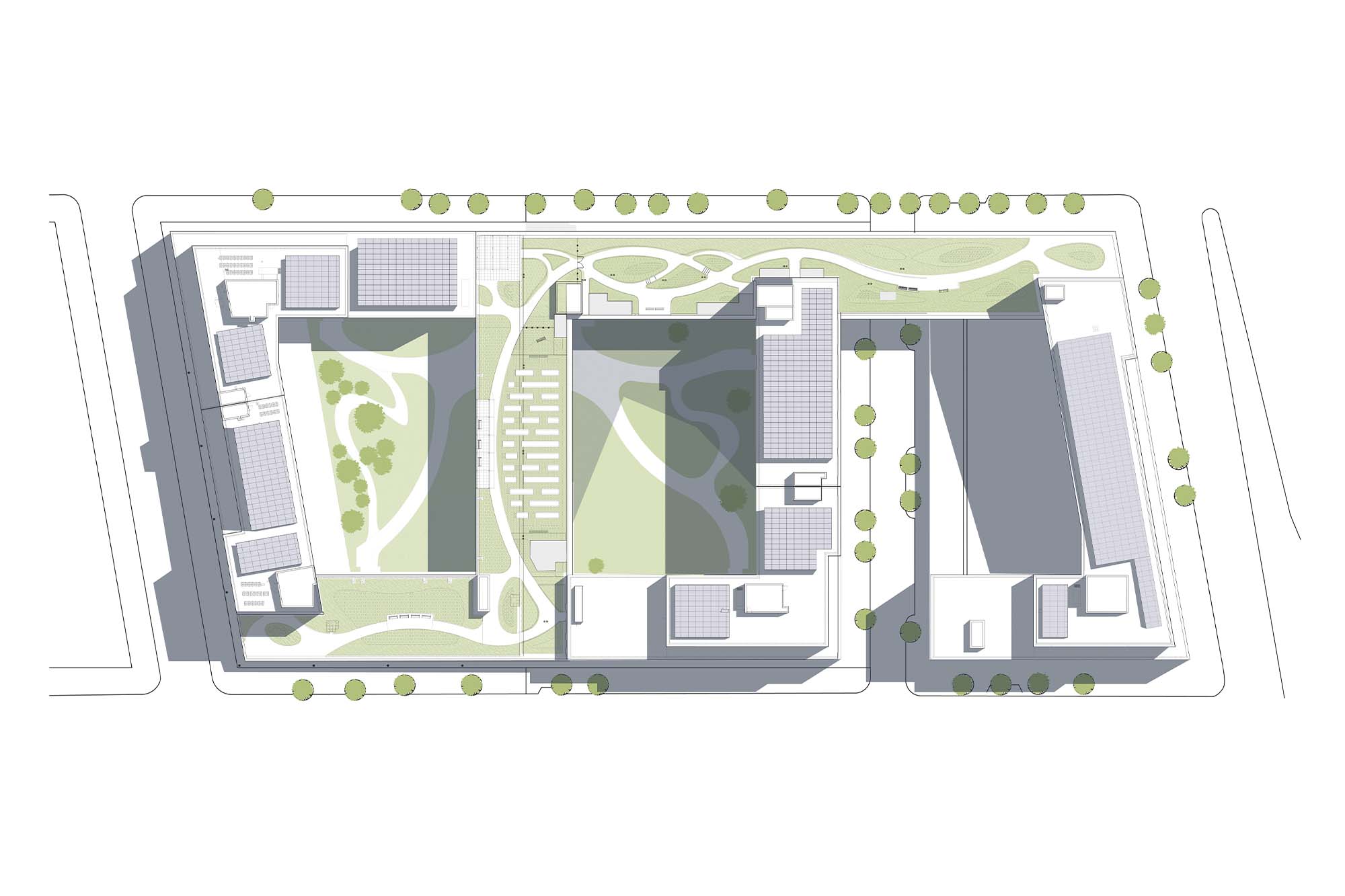 dattner-architects-nyc-atlantic chestnut-green roof.jpg