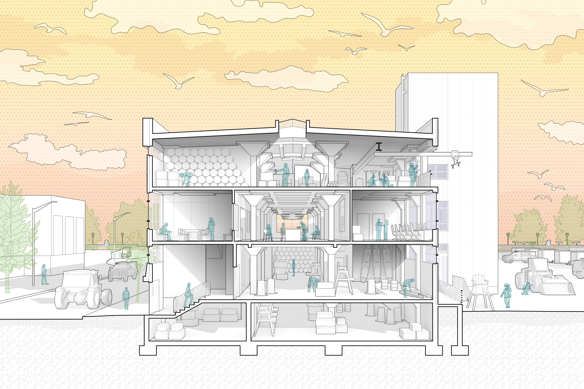25 1017 CIBO Section Perspective Resized