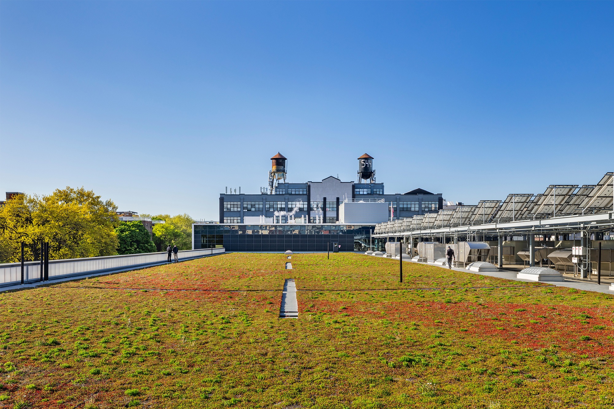 DSNYBrooklynGarage3_1536_AlbertVecerka_047_Green-Roof